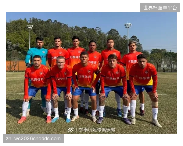 对阵巴西的热身赛将是重要考验,埃及队需借此磨合防线。 对阵巴西的热身赛将是重要考验,埃及队需借此磨合防线。